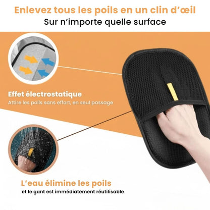 PatouClean™ – Gant attrape-poils
