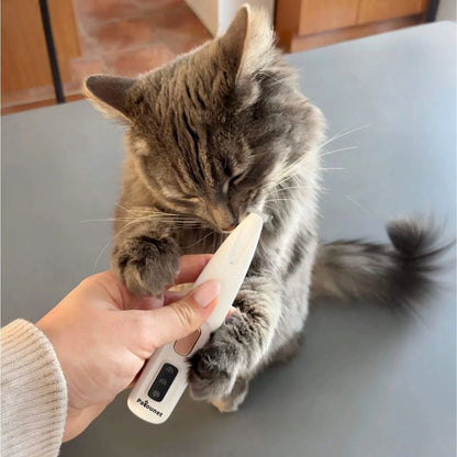 Patounet™ - Tondeuse de Précision pour Chat