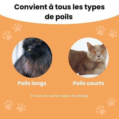 PatouBrush™ – Brosse anti-poils morts