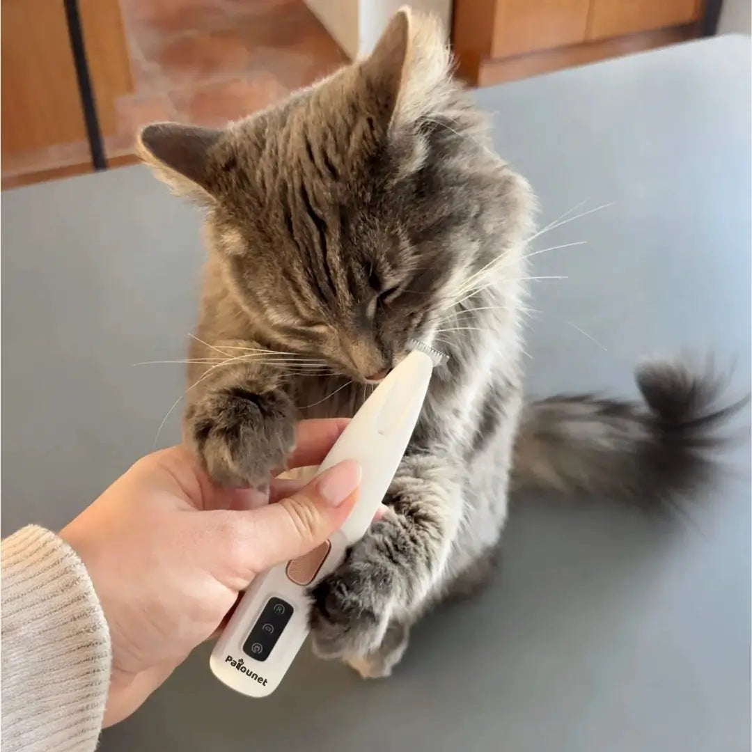 Patounet™ - Tondeuse de Précision pour Chat