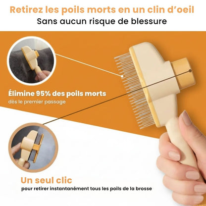 PatouBrush™ – Brosse anti-poils morts