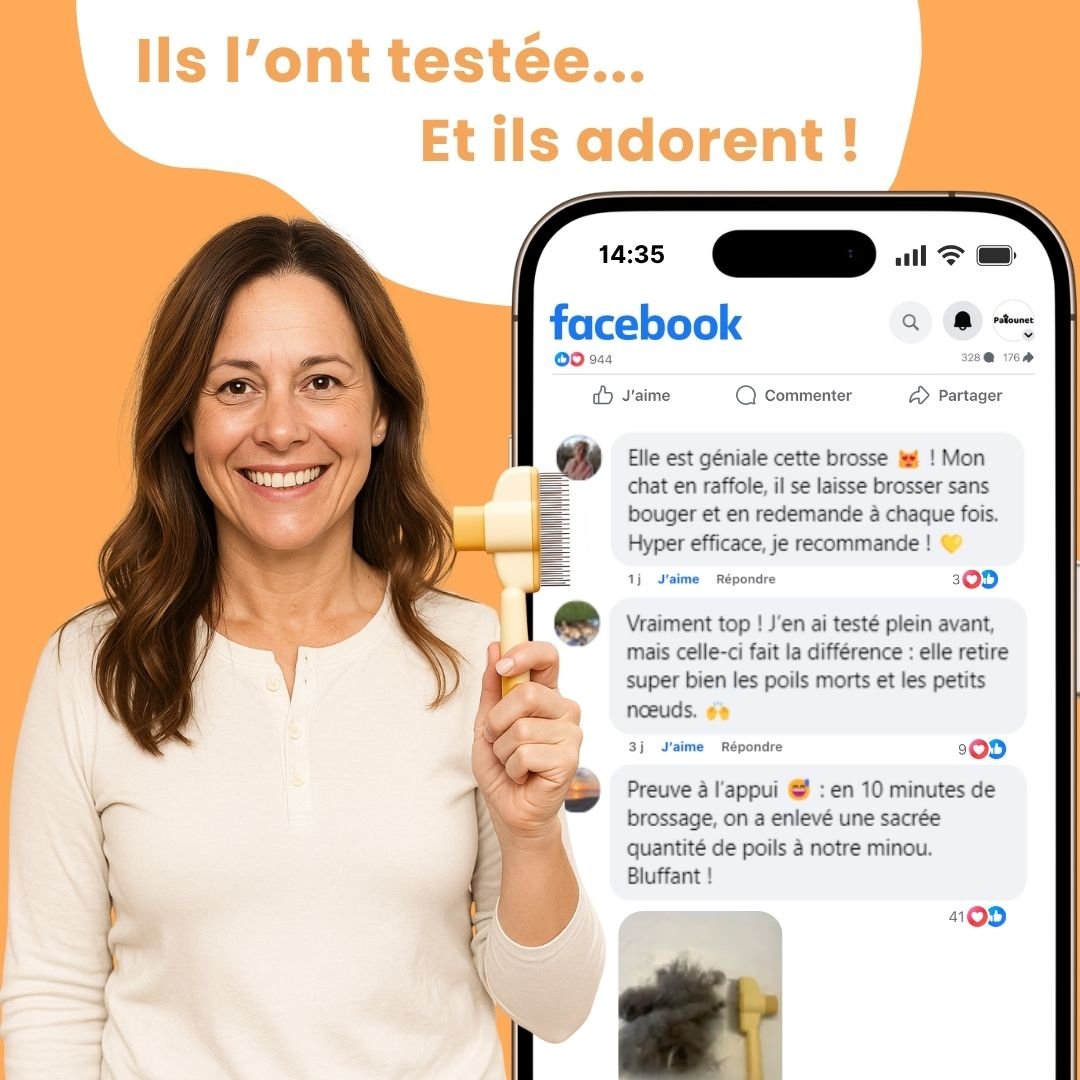 PatouBrush™ – Brosse anti-poils morts