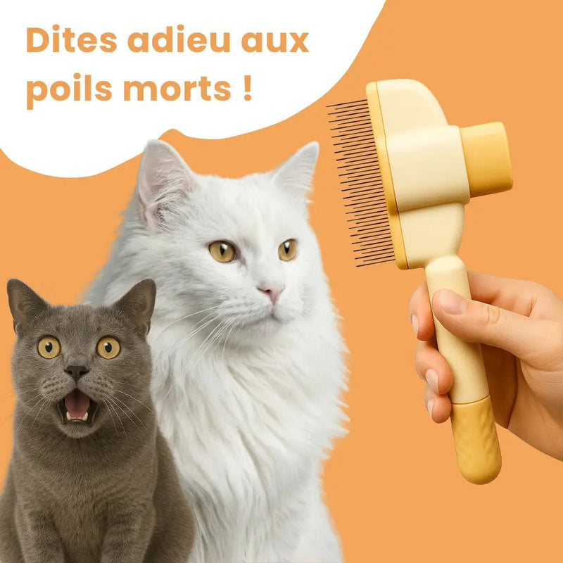 PatouBrush™ – Brosse anti-poils morts