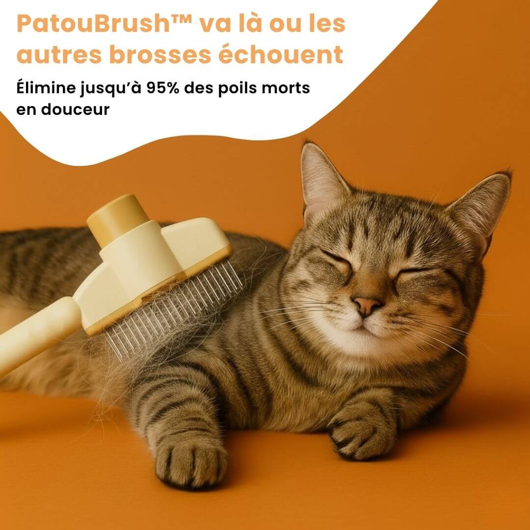PatouBrush™ – Brosse anti-poils morts