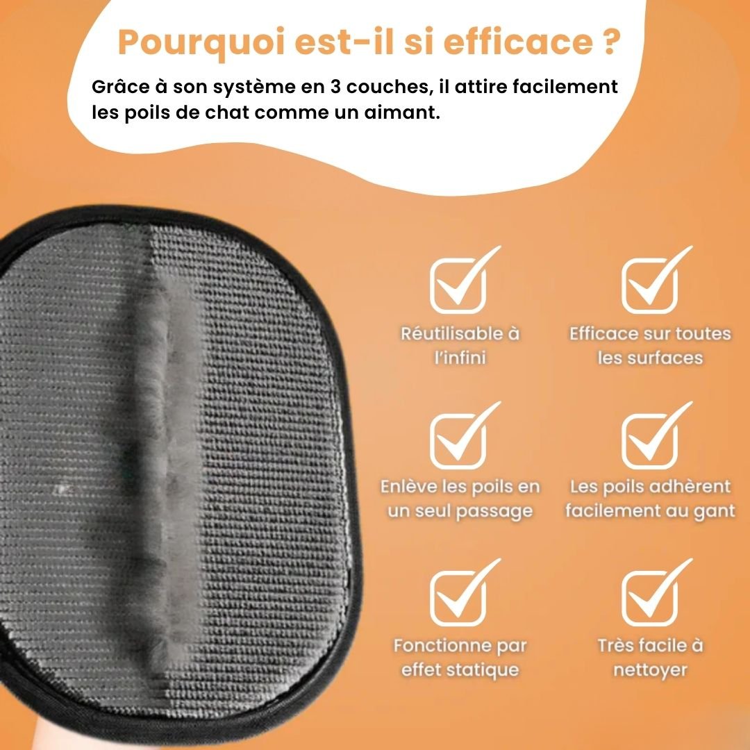 PatouClean™ – Gant attrape-poils