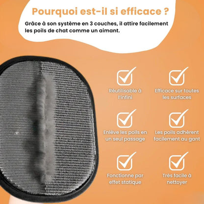 PatouClean™ – Gant attrape-poils