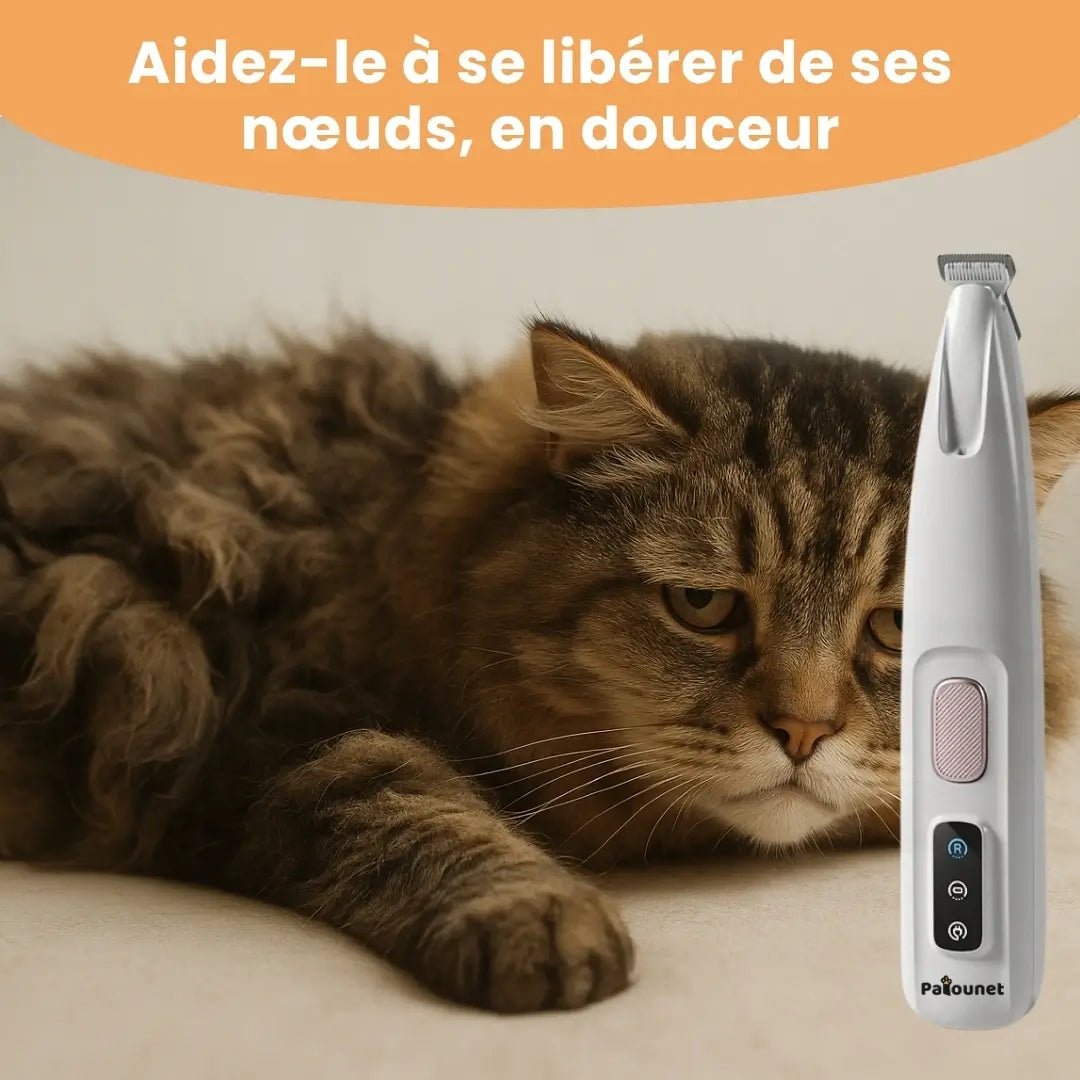 Patounet™ - Tondeuse de Précision pour Chat